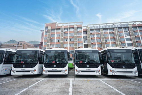 千里湘江畔，魅力蓮城再添綠色新風景——100臺吉利星際客車C8E交付湘潭城發集團